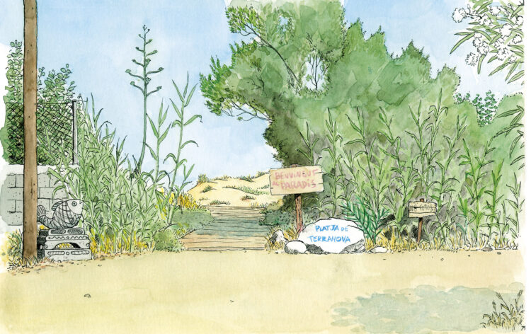 Lámina para enmarcar con una ilustración en acuarela de una pasarela de la playa de terranova en el municipio de Oliva, Valencia.