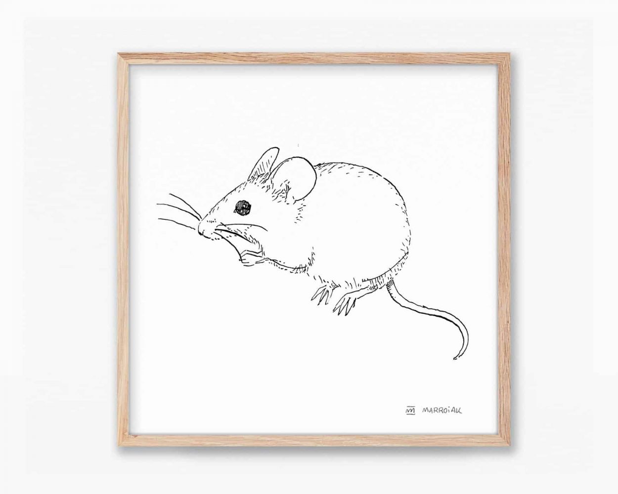 Cuadros de naturaleza de valencia y la península ibérica. Lámina para enmarcar con una ilustración en blanco y negro de un ratón moruno (Mus Spretus). Dibujo en tinta sobre papel.