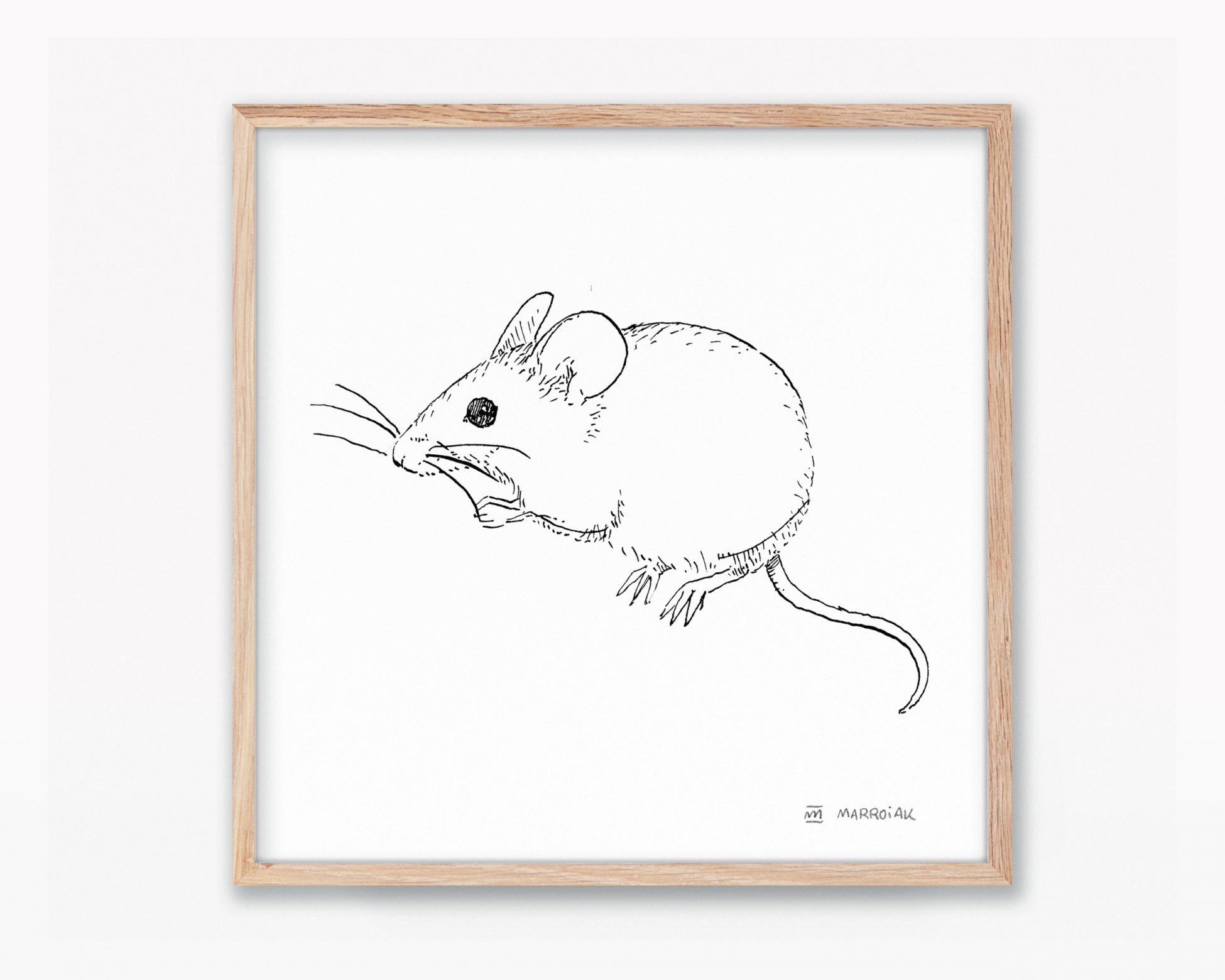 Cuadros de naturaleza de valencia y la península ibérica. Lámina para enmarcar con una ilustración en blanco y negro de un ratón moruno (Mus Spretus). Dibujo en tinta sobre papel.