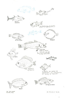 Little fish black and white drawing original sketch