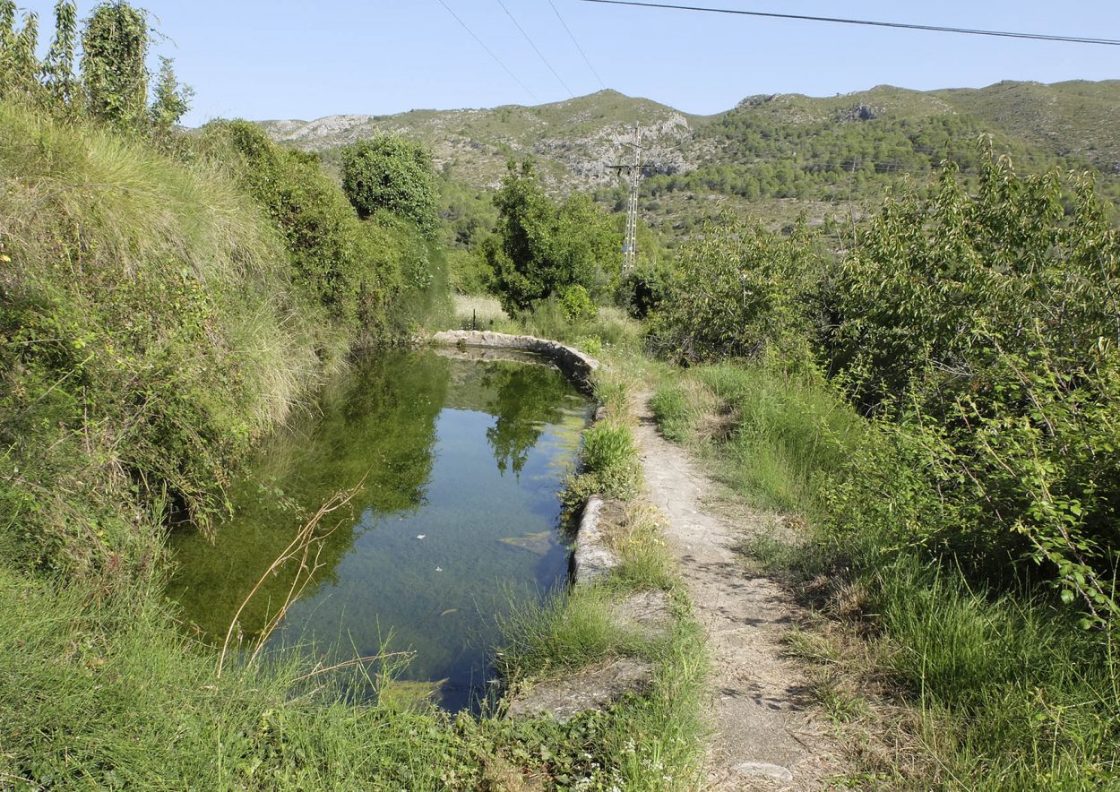 Fotografía de un estanque o acequia en la vall de gallinera, Marina Alta (Alicante)
