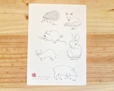 Animalets b n subasta original