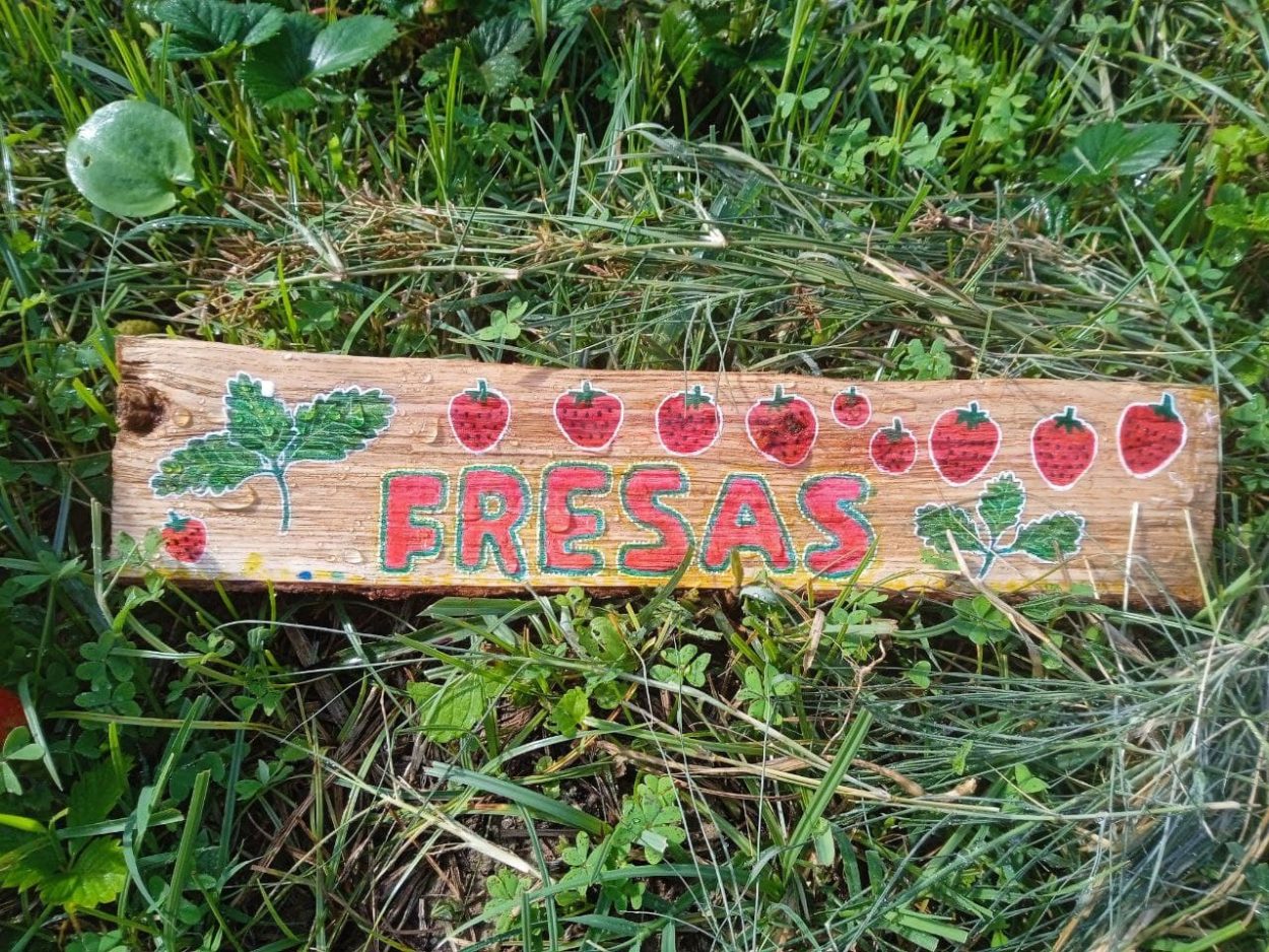 Cartel pintado a mano sobre madera con una señal de fresas y fresones