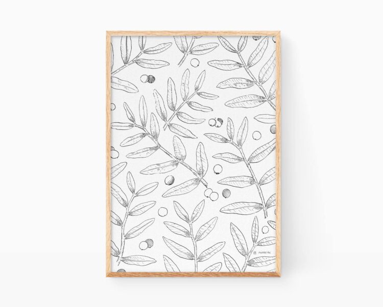 Cuadros decorativos para enmarcar de plantas para cocinas. Ilustración botánica dibujada a mano de varias hojas y frutos del arbusto Llentiscle (lentisco en valenciano). Patrones decoración vegetal.