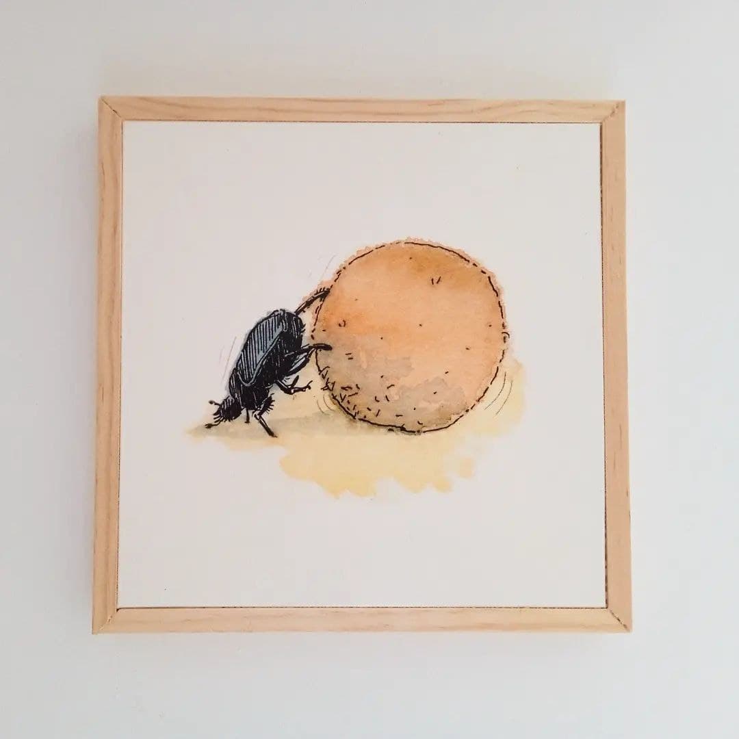 cuadro madera escarabajo pelotero 3
