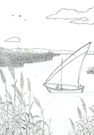 Dibujo blanco y negro albufera valencia original en subasta