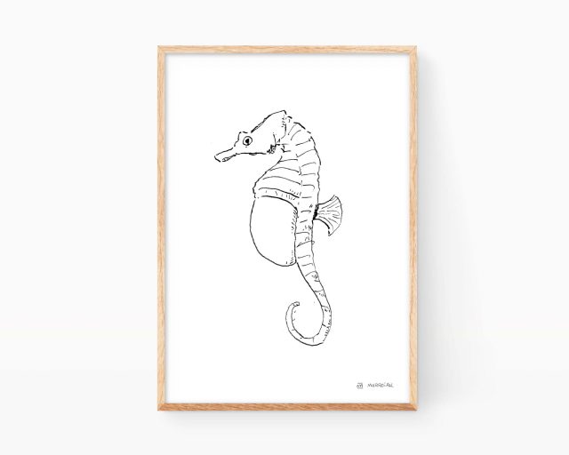 Lámina ilustración caballito de mar (Hippocampus). Dibujo en blanco y negro