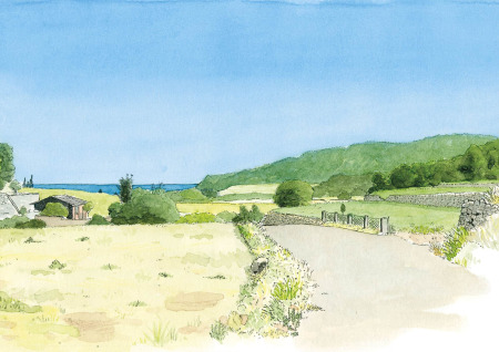 dibujo covatelles oliva valencia la safor