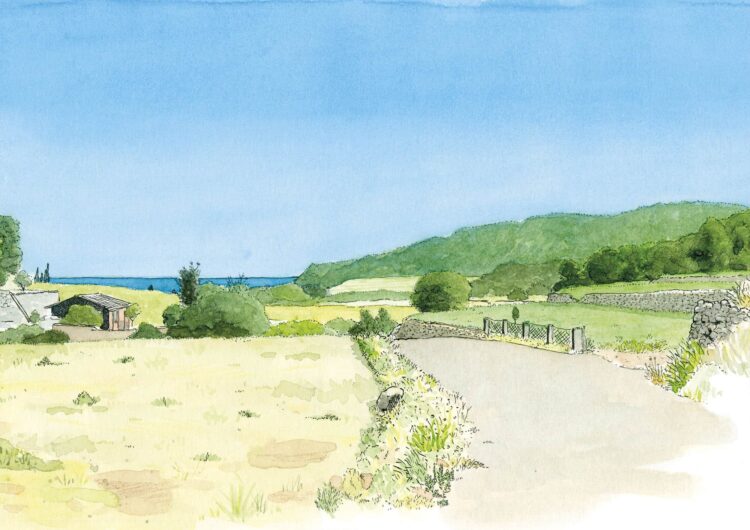 dibujo covatelles oliva valencia la safor