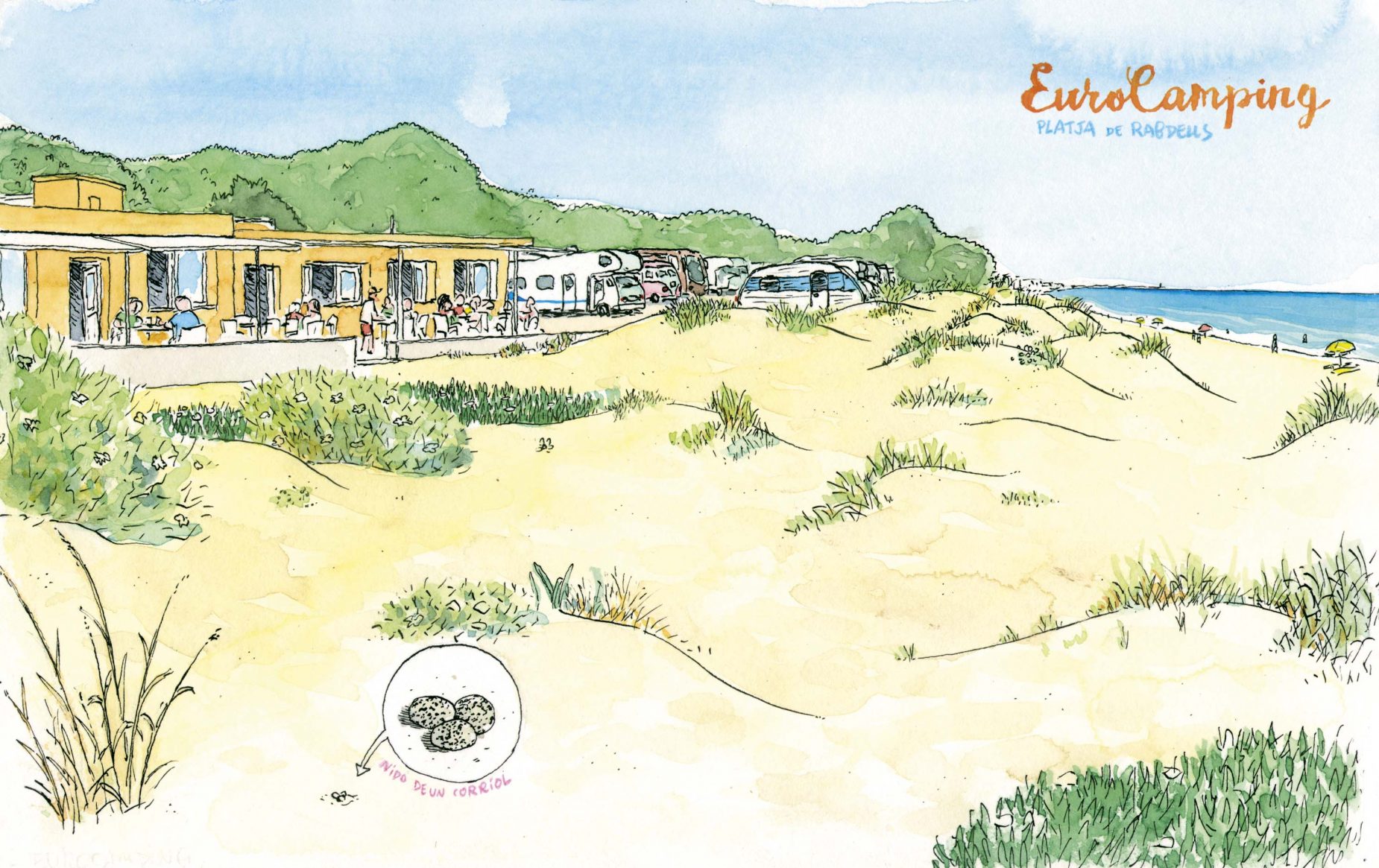 dibujo oliva - Eurocamping camping playa