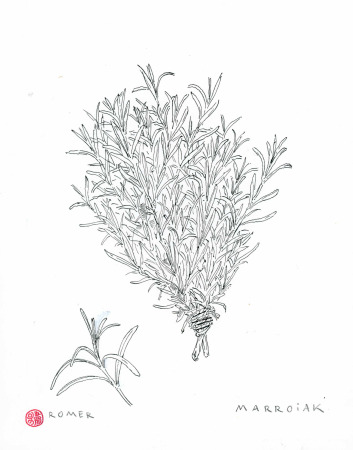 dibujo romero blanco y negro original