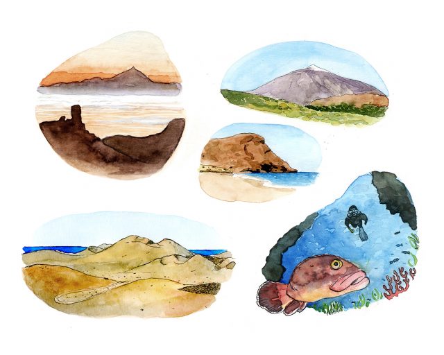 Islas Canarias Marroiak islas-canarias-marroiak