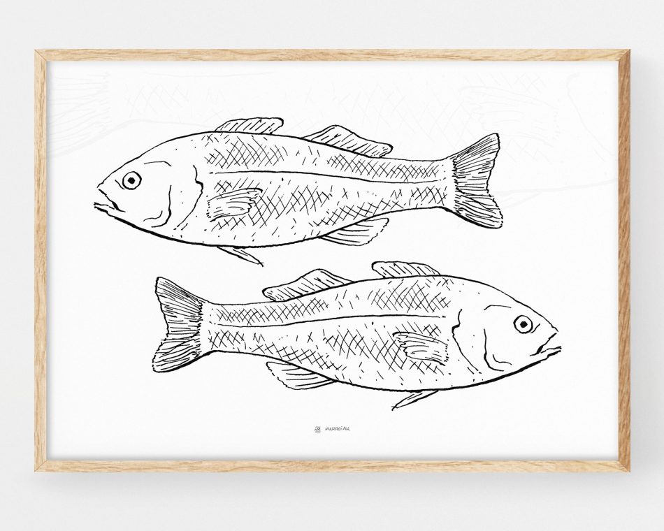 Cuadro para cocinas blanco y negro dos peces dibujados en blanco y negro. Decoración elegante escandinava y nórdica de tonos claros.
