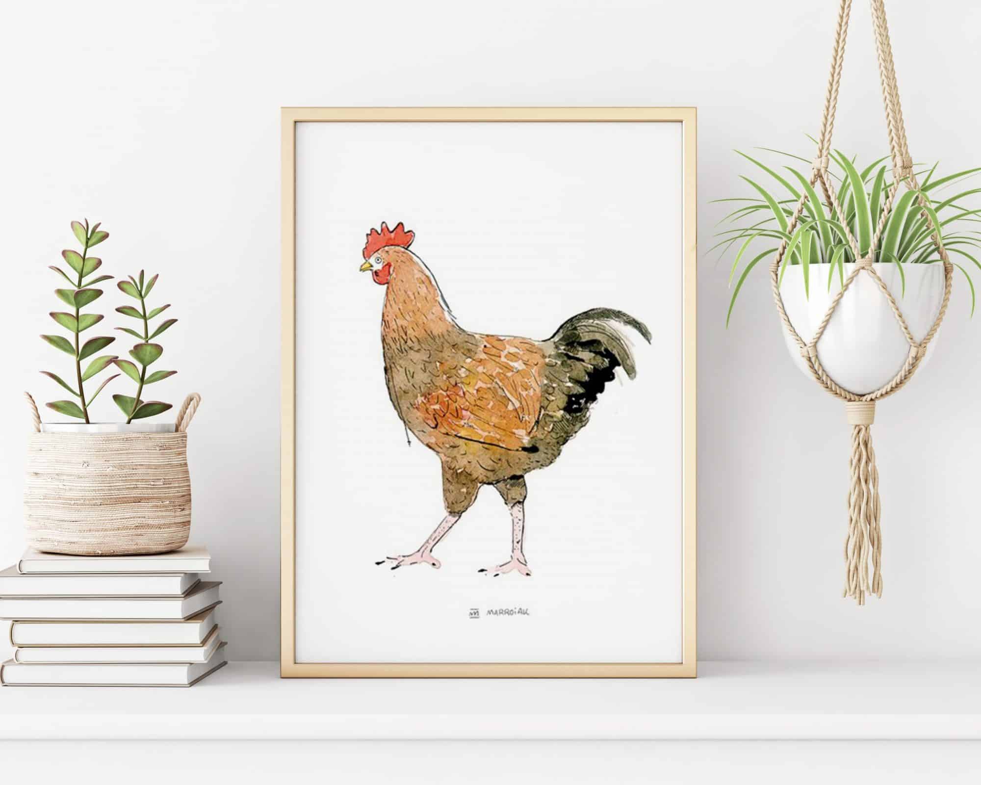 Lámina con la ilustración en acuarela de una gallina. Decoración para la cocina y restaurante. Dibujo pollo.