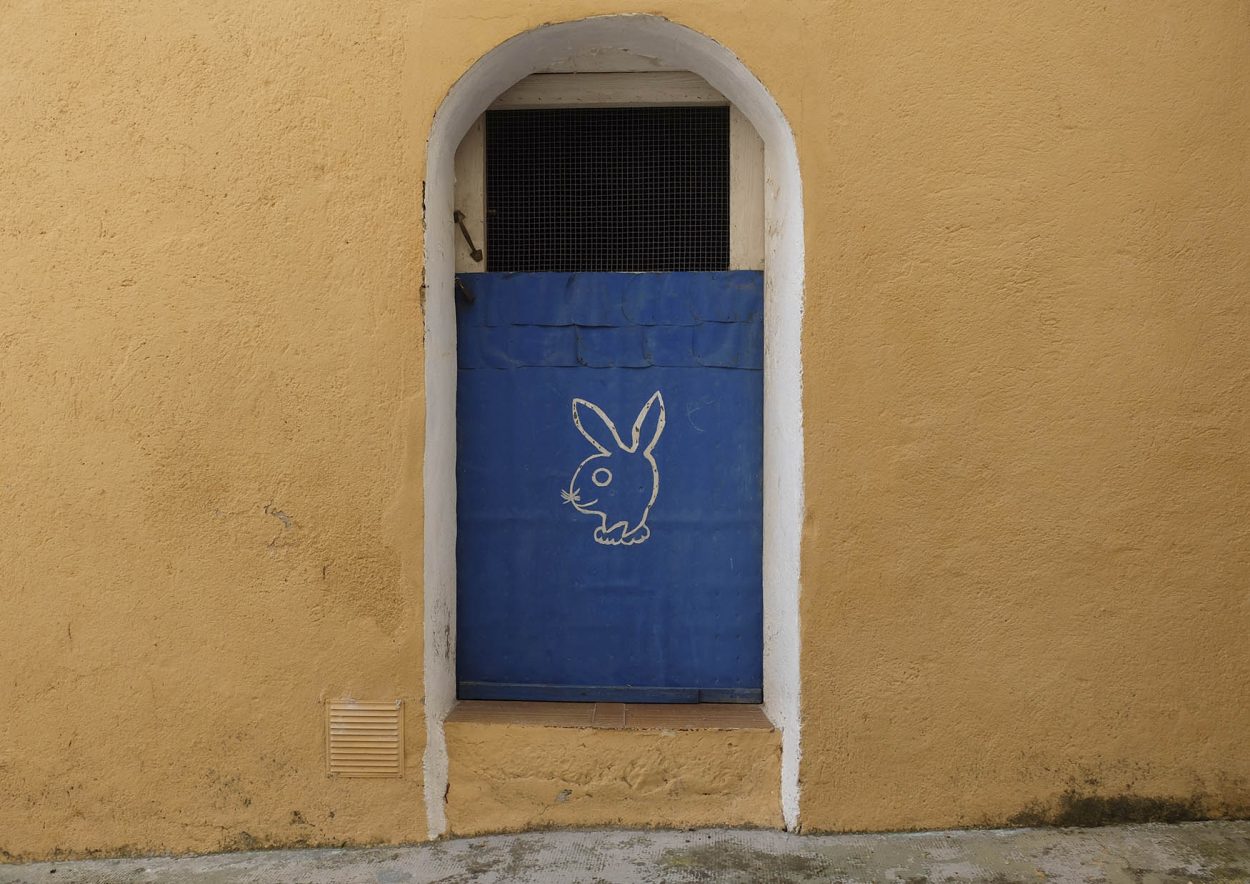 grafiti conejo en la vall de gallinera, Marina Alta (Alicante)