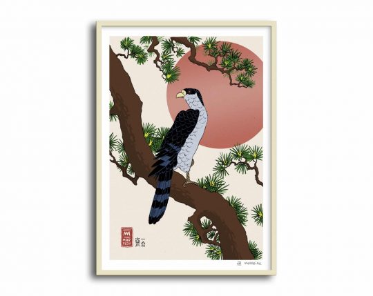 Lámina con la ilustración de un Halcón sobre una rama de pino - Versión de la estampa japonesa o ukiyo e de Hiroshige