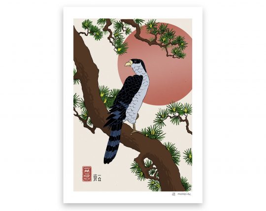 Halcón en una rama de pino - Versión de la estampa japonesa (ukiyo e) - Ilustración, dibujo. Japón. Hiroshige
