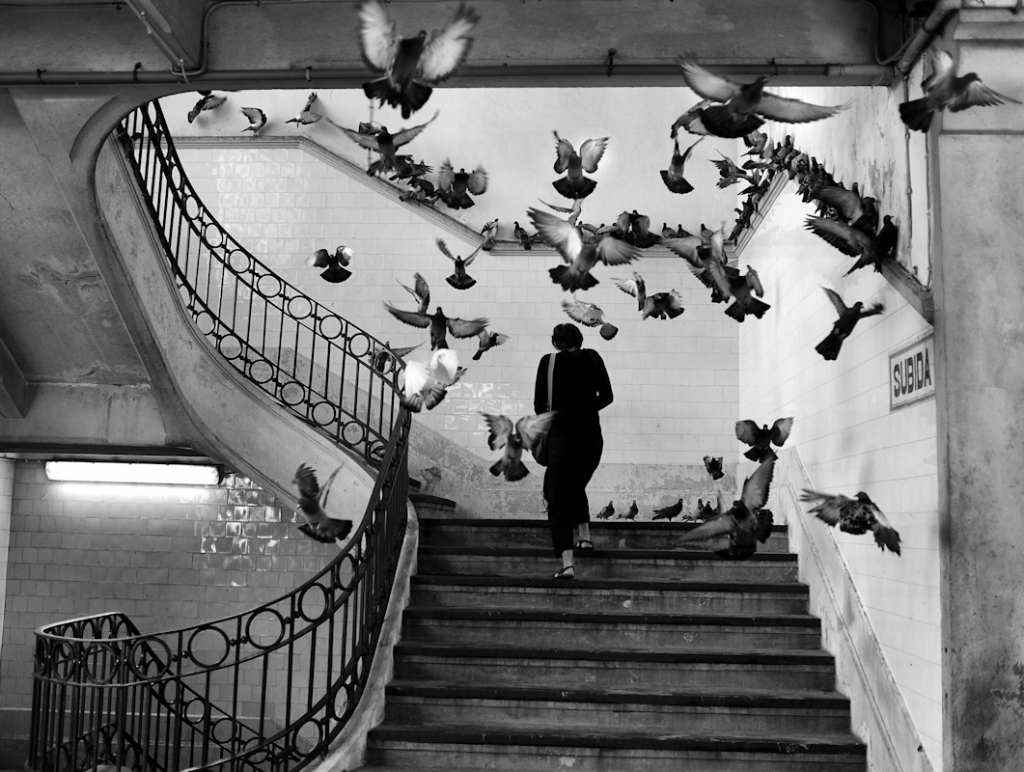 Henri Cartier Bresson. Fotografía palomas y escalera