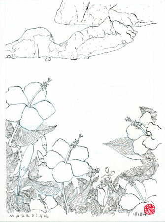ibiscus en es vedra ibiza dibujo en blanco y negro