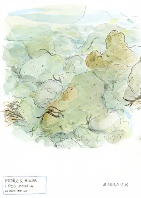 Ibiza, piedras, agua yposidonia en acuarela. Obra origina en subasta de Marroiak