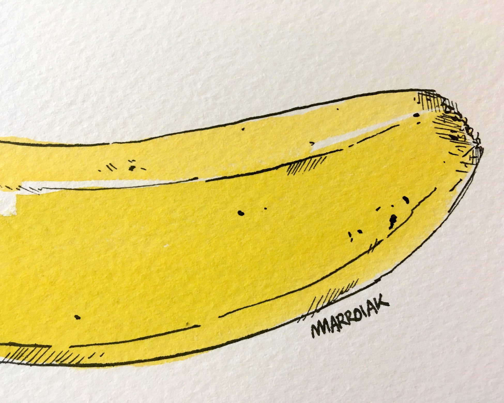 Detalle de una ilustración original en tinta y acuarela de un plátano