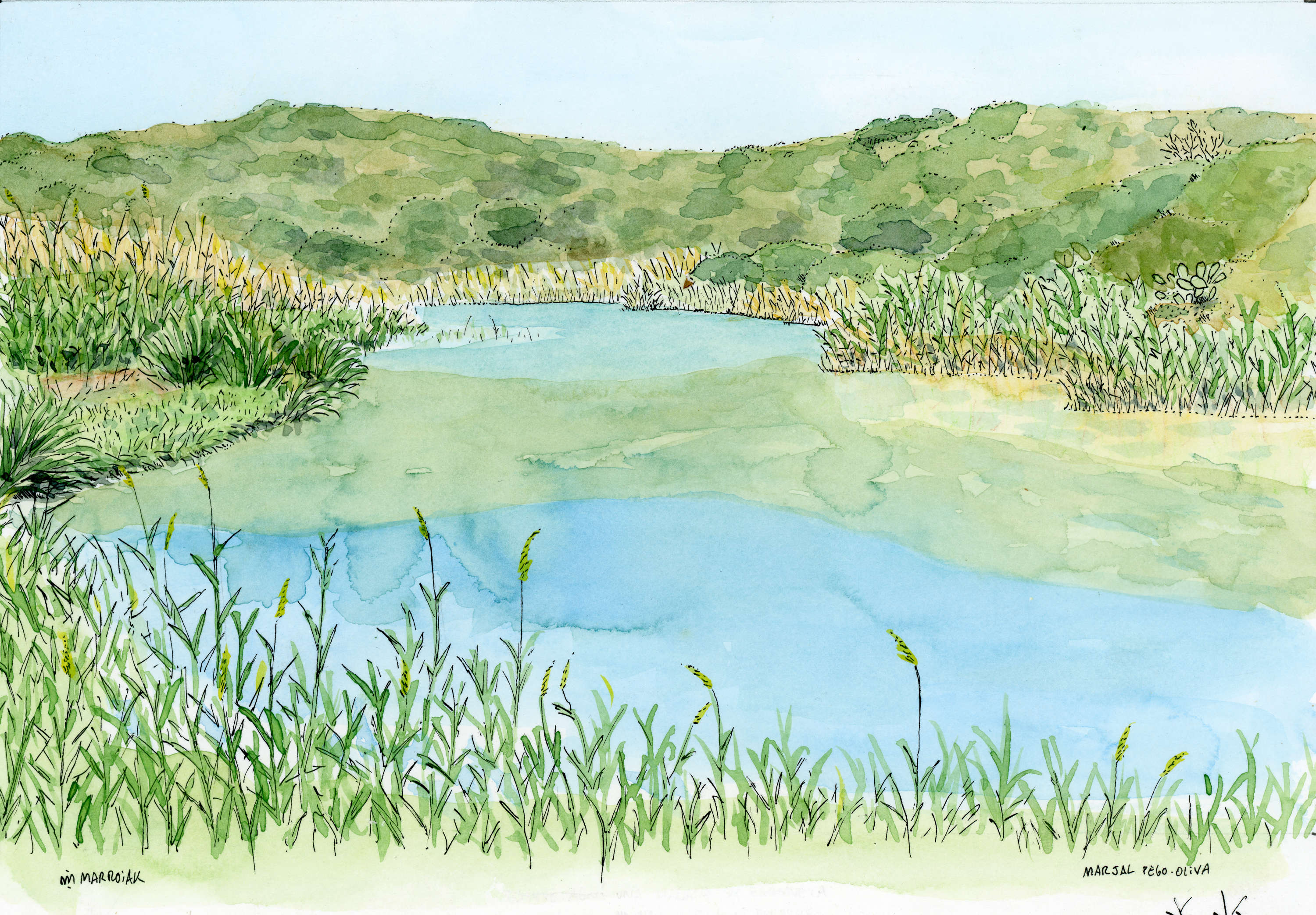 The swamp original watercolor auction