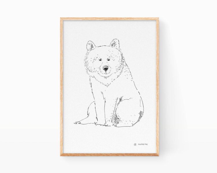 Lámina decorativa blanco y negro con un dibujo de un oso pardo.