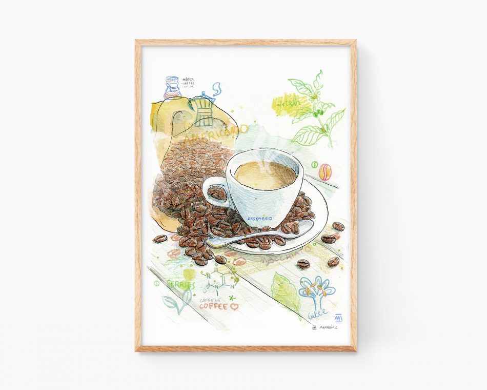 Lámina decorativa para cocinas con un dibujo en acuarela de una taza de café y granos. Cuadros con ilustraciones para enmarcar