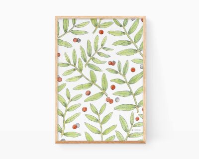 Cuadros decorativos para enmarcar botanicos. Lámina con una ilustración en acuarela de una planta típica de Valencia y el Mediterráneo, el lentisco. Acuarelas de naturaleza y flores