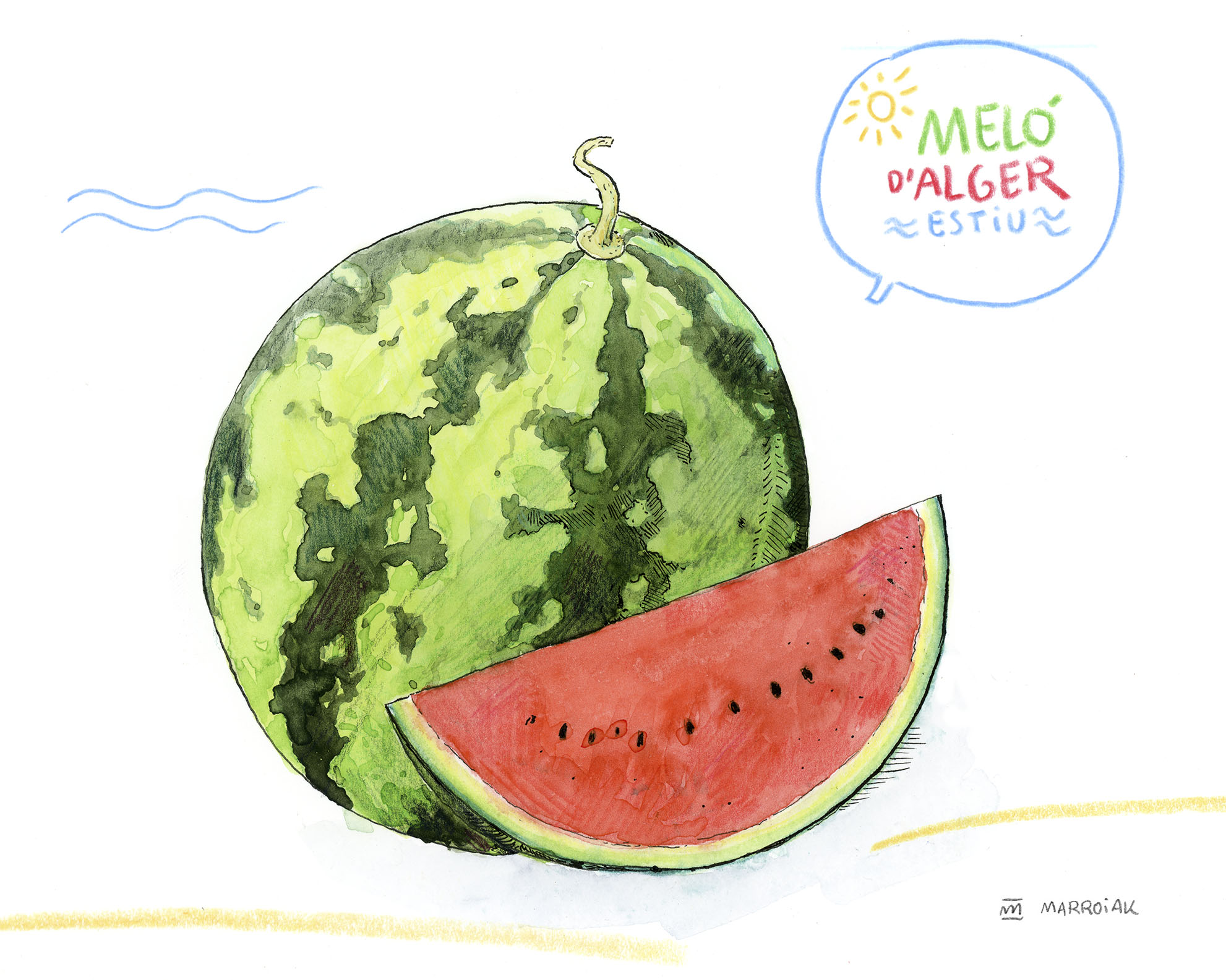 lamina dibujo acuarela sandia (melo d alger) fruta