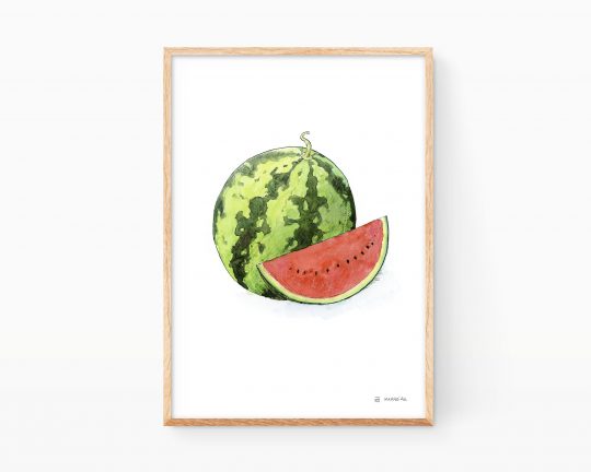 Lámina ilustración en acuarela de la fruta de la sandía (Meló d´Alger o sindria). Prints de plantas para cocina