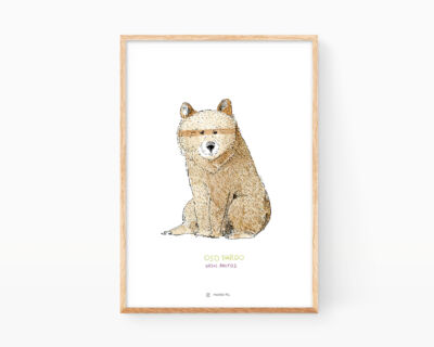 Brown Bear (Ursus arctos