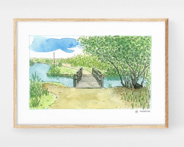 Cuadro decorativo de naturaleza con un dibujo en acuarela de un puente de madera junto a un árbol y un río en el Parque Natural de la Marjal Pego-Oliva. Dibujos y fotos de marjales y humedales de la Comunidad Valenciana.
