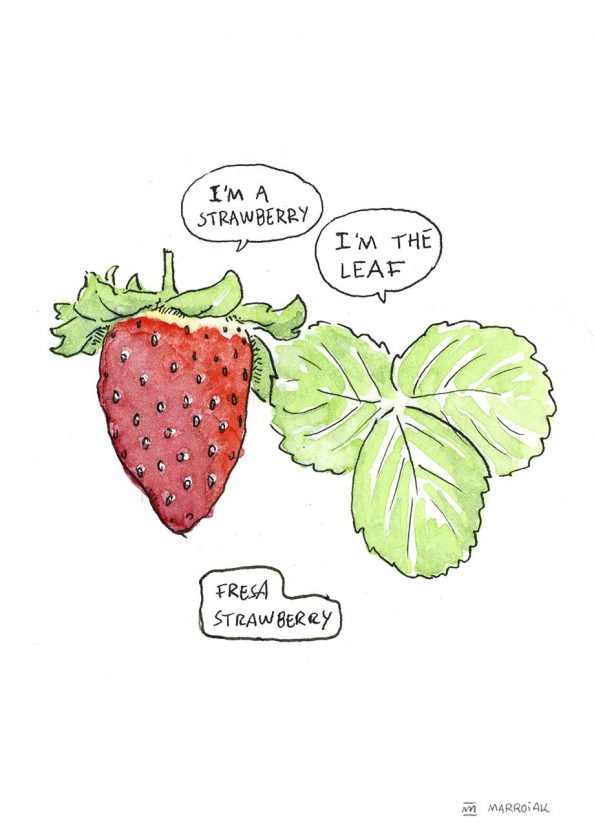 Dibujo acuarela fresa