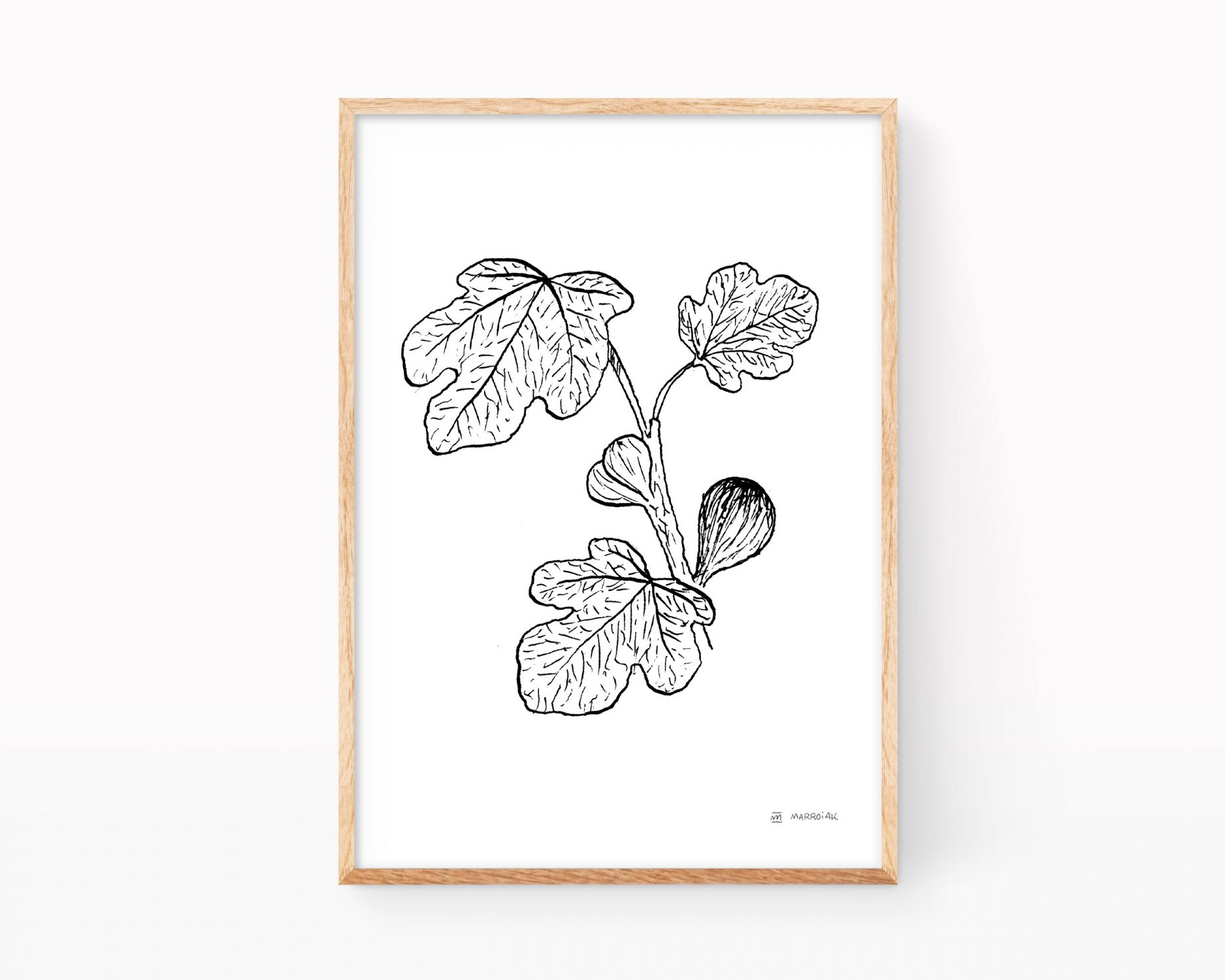 Lámina ilustración botánica de una rama de higuera en blanco y negro