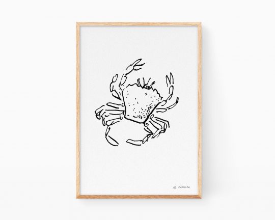 Cuadros animales del mar. Lámina con una ilustración de un cangrejo de arena de Valencia. Dibujo blanco y negro Print decorativa para enmarcar.
