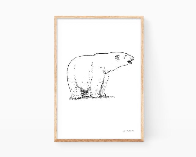 Láminas de animales con una ilustración de un oso polar en blanco y negro. Dibujo a tinta
