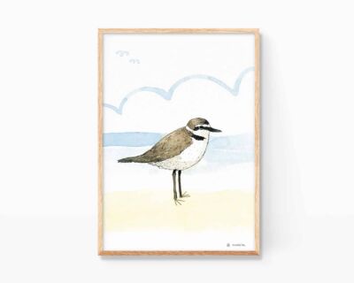 Picture to frame of animals with an illustration of a kentish plover (Corriol camanegre in Valencian) on a beach in Valencia. Drawings of animals for decoration for children and nature lovers.
