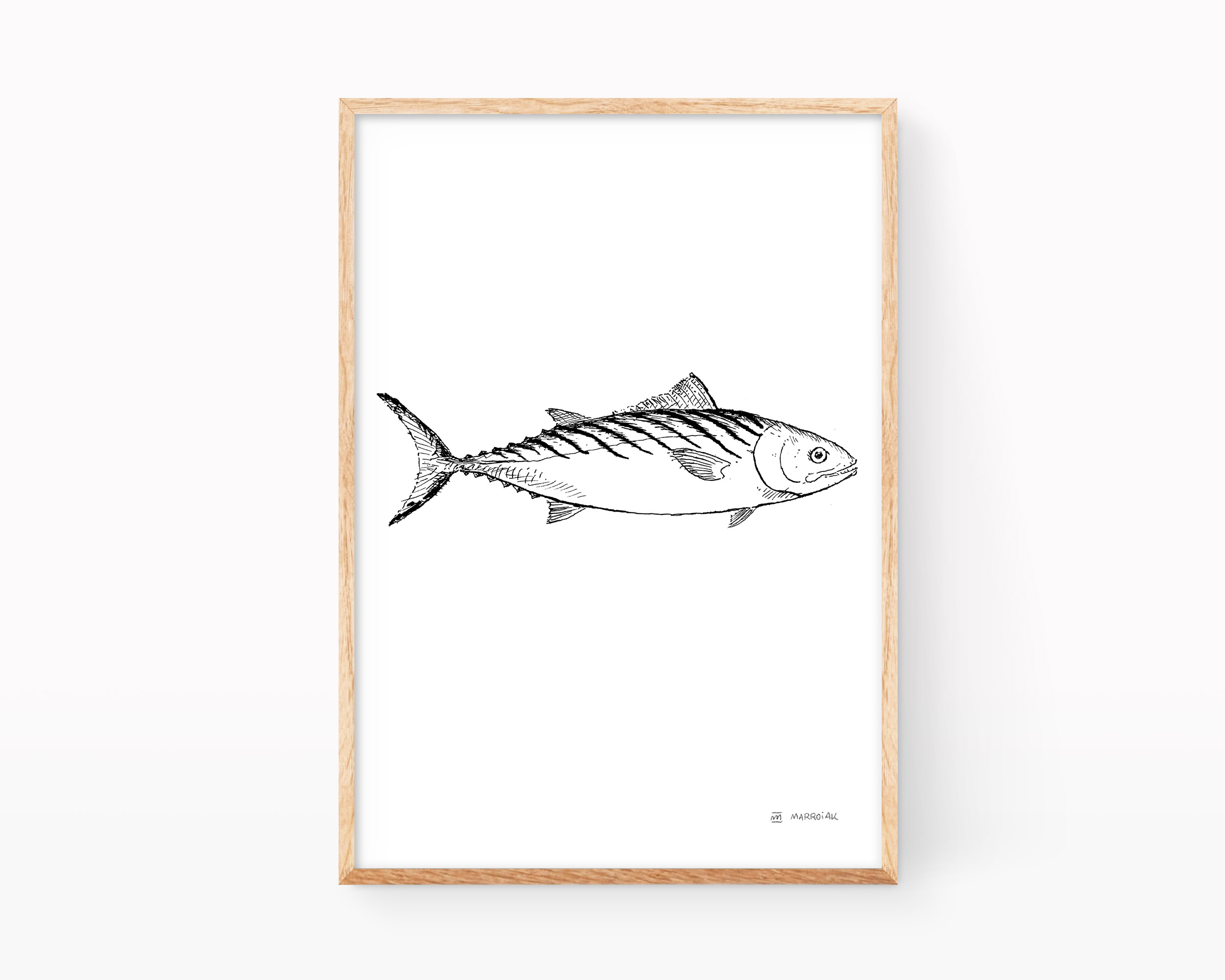 Lámina con una ilustración en blanco y negro del pescado conocido como Bonito (Sarda Sarda). Dibujo a tinta.