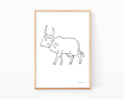 Print with an illustration of an Indian Brahman cow. Black and white drawing