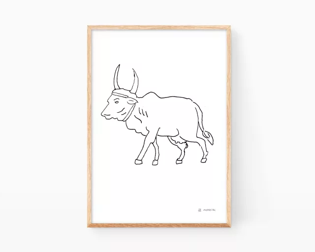 Lámina con una ilustración de una vaca de la raza India Brahman. Dibujo en blanco y negro