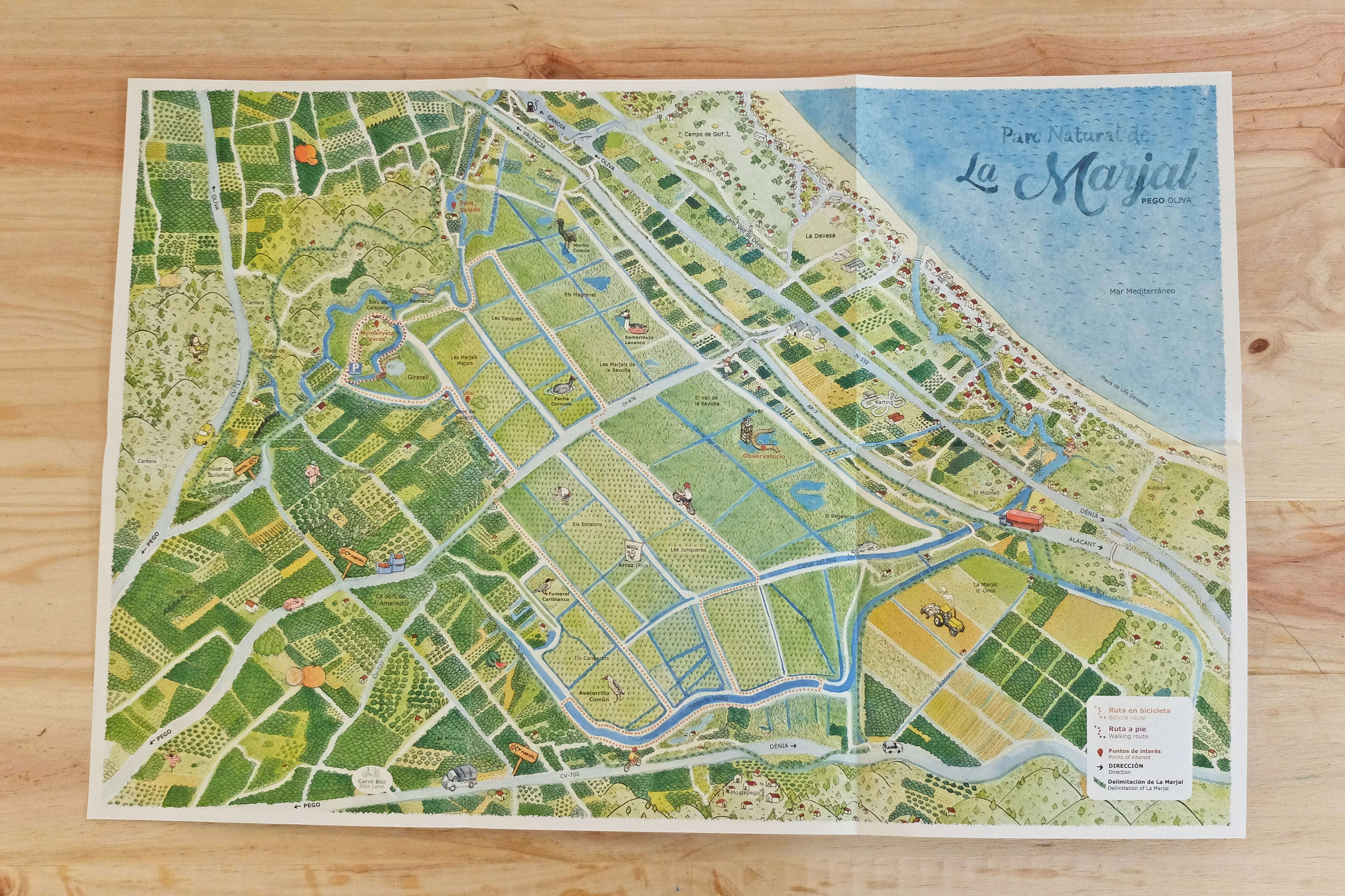 Illustrated map Marjal Pego-Oliva