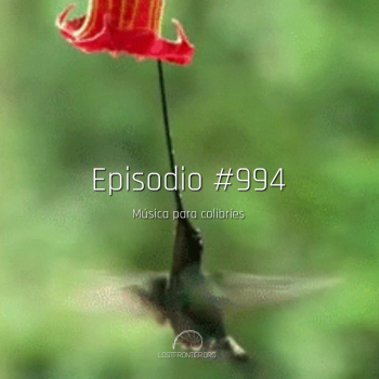 musica para colibries lostfrotier.org