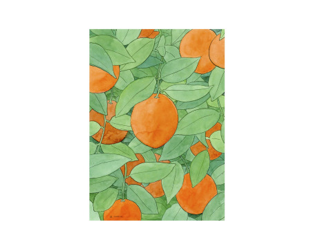 Original illustration watercolor Valencia oranges. Decorative paintings of Valencian culture for modern and contemporary decoration.