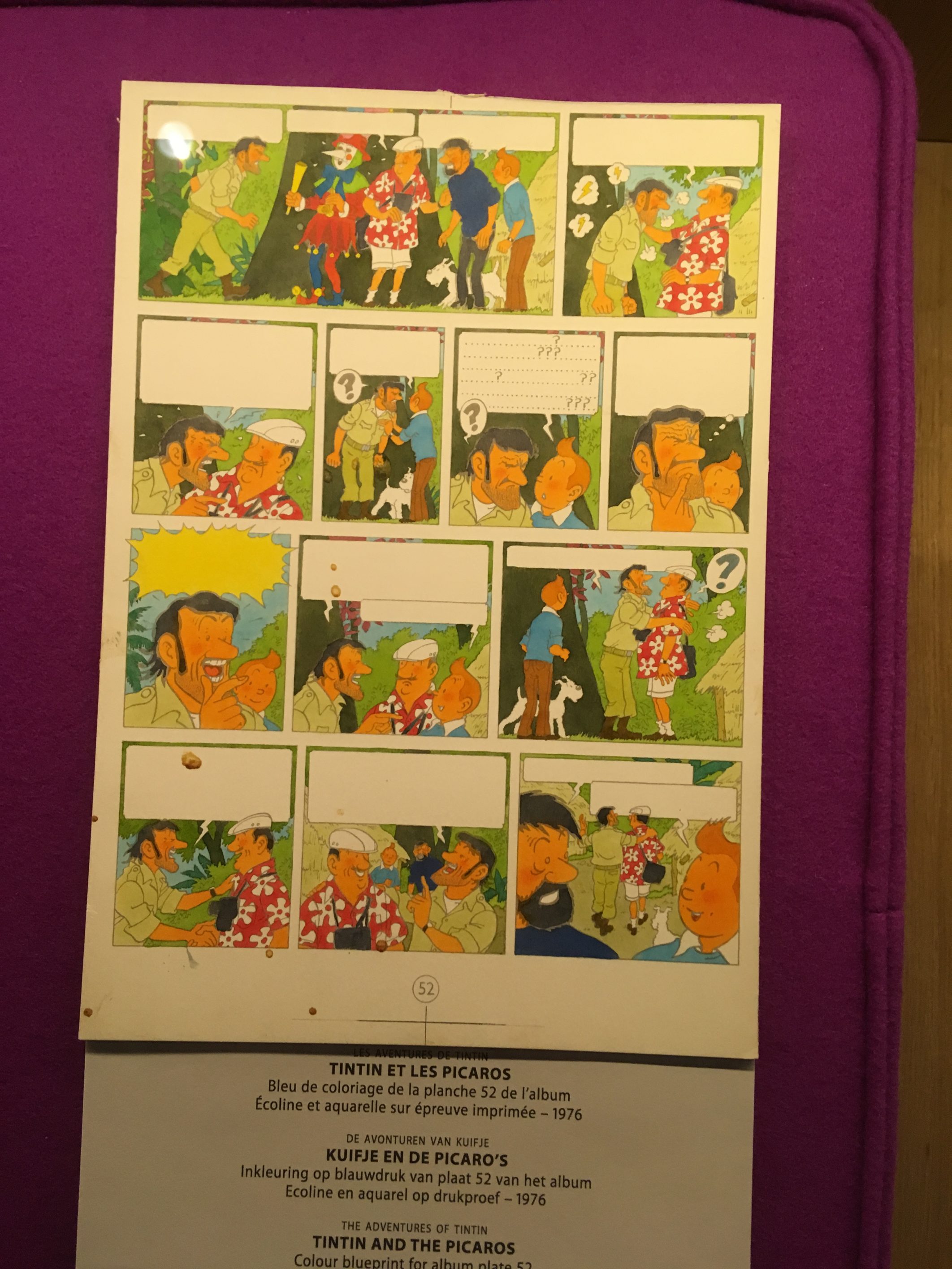 Fotografia de una ilustracion original del cómic Tintin de Herge. Los Pícaros