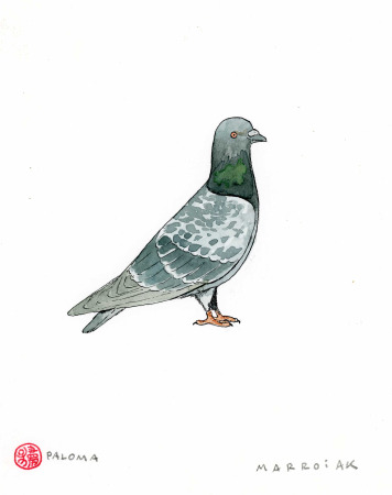 paloma en acuarela y tinta original dibujo en subasta
