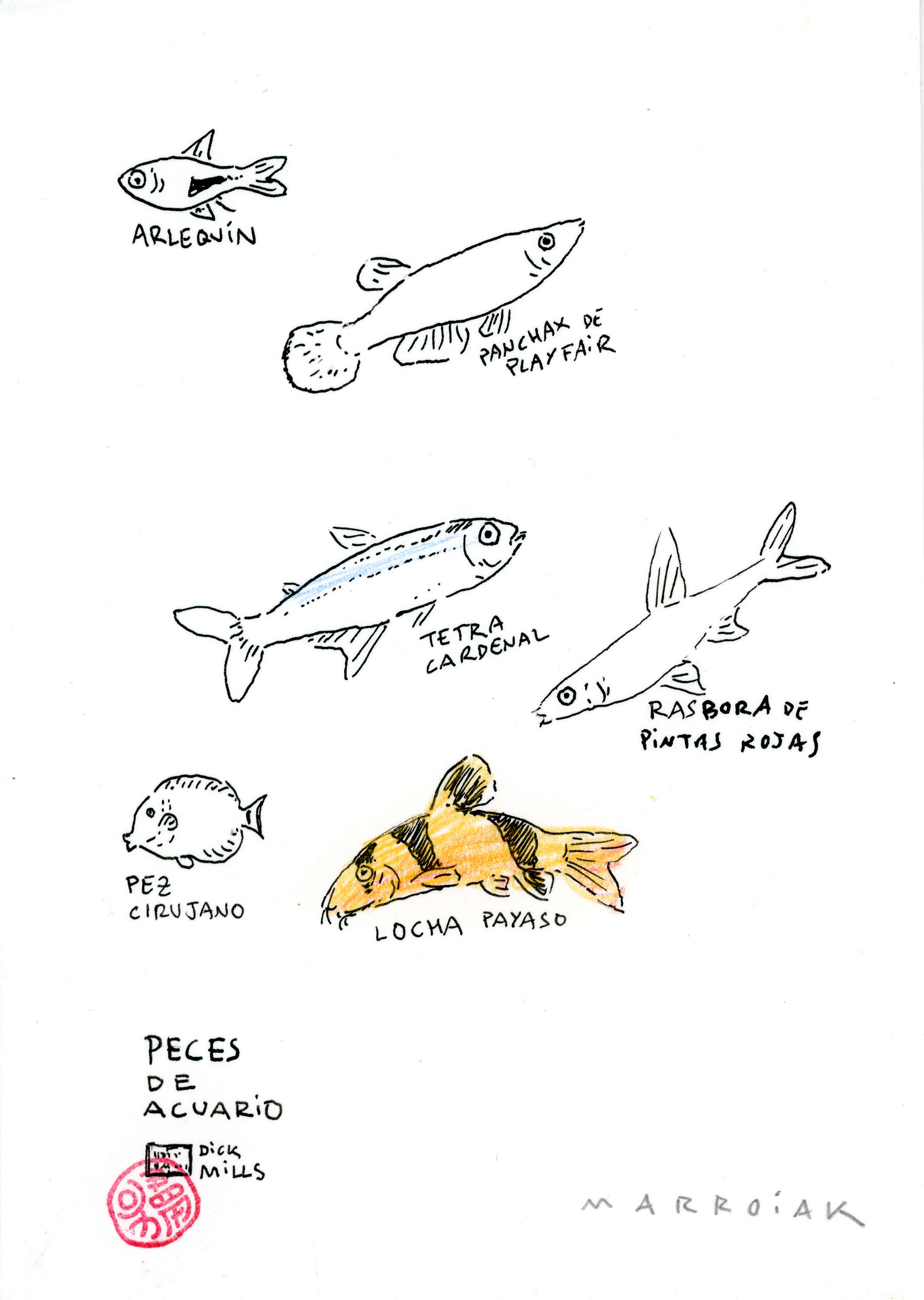 Peces de acuario dibujo original