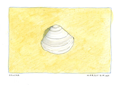 postcard shell drawing watercolor beach