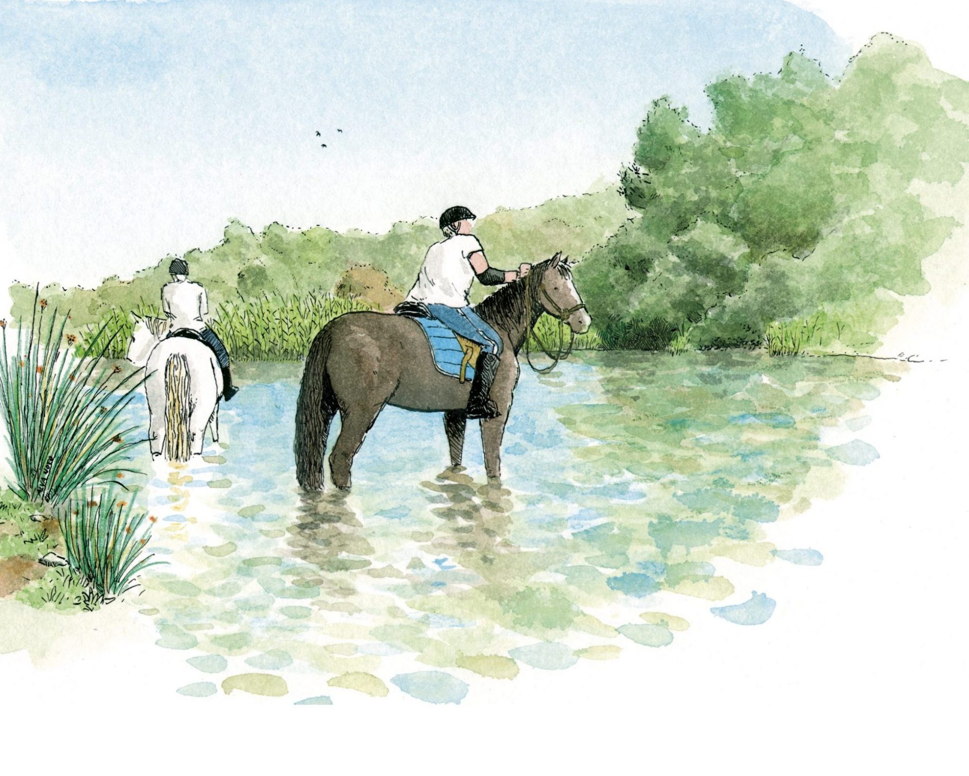 Dibujo de dos caballos en el rio bullent en el parque natural de la marjal pego oliva. Valencia