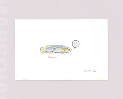 marroiak samaruc drawing art auction